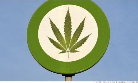 Εκλογές, αποποινικοποίηση χρήσης και νόμιμη κάνναβη