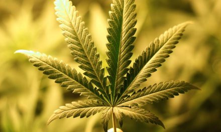 Υπόμνημα για ιατρική χρήση Κάνναβης στον Πανελλήνιο Ιατρικό Σύλλογο