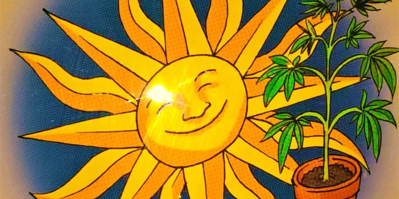 Πανελλαδικό Φόρουμ για την Κάνναβη, κάλεσμα- πρόσκληση για συμμετοχή