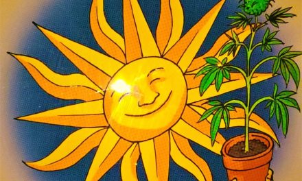 Πανελλαδικό Φόρουμ για την Κάνναβη, κάλεσμα- πρόσκληση για συμμετοχή