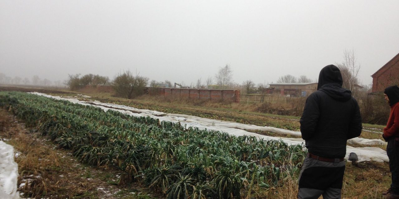 Συνάντηση Εκπαιδευτών: “Η Πρόσβαση στη Γη στην Ευρώπη”, Βερολίνο 18-25/1/2017. Η εμπειρία μας.