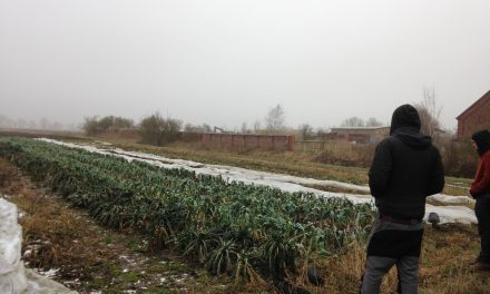 Συνάντηση Εκπαιδευτών: “Η Πρόσβαση στη Γη στην Ευρώπη”, Βερολίνο 18-25/1/2017. Η εμπειρία μας.