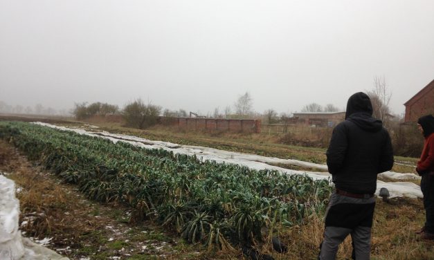 Συνάντηση Εκπαιδευτών: “Η Πρόσβαση στη Γη στην Ευρώπη”, Βερολίνο 18-25/1/2017. Η εμπειρία μας.