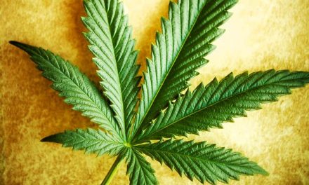 Επιστολή στον Πρωθυπουργό για την Κάνναβη