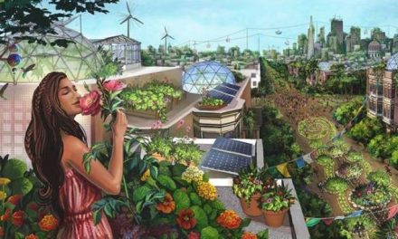 Συνέντευξη Ηλιόσποροι στο Mikrocosmos.gr