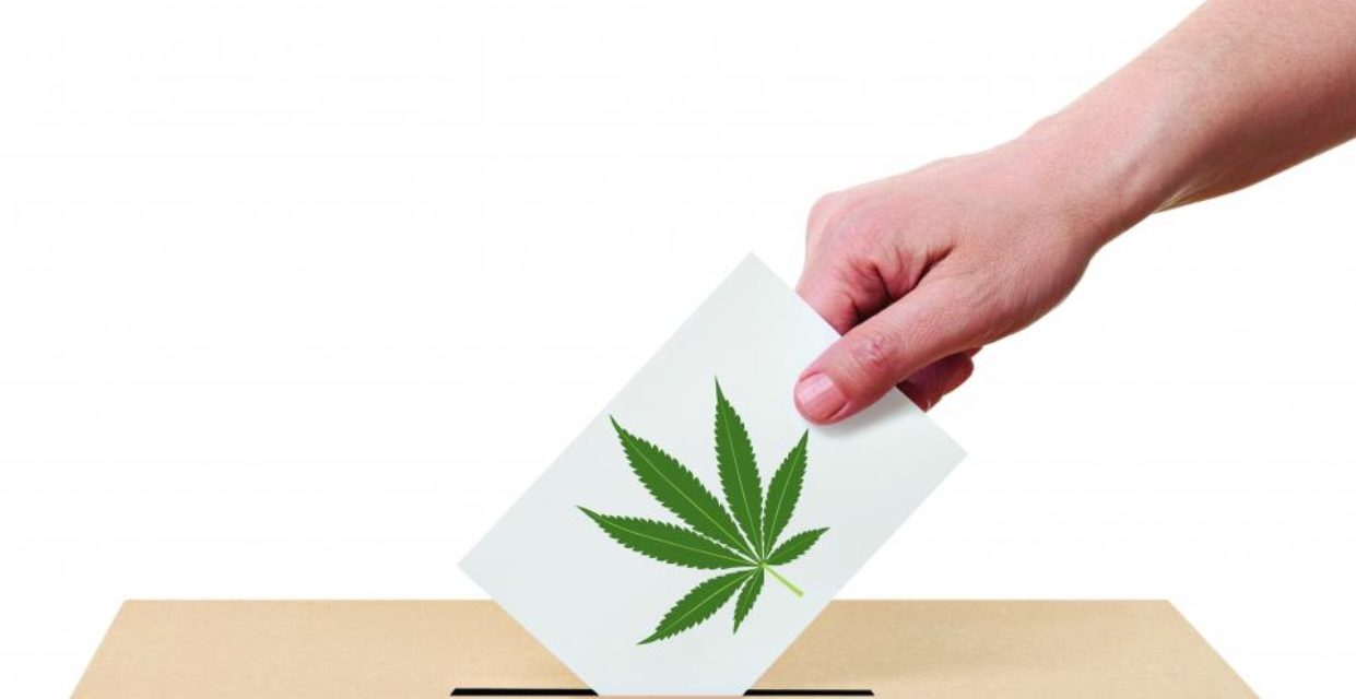 Εμείς ψηφίζουμε Κάνναβη. Εσείς;