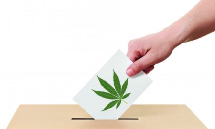 Εμείς ψηφίζουμε Κάνναβη. Εσείς;