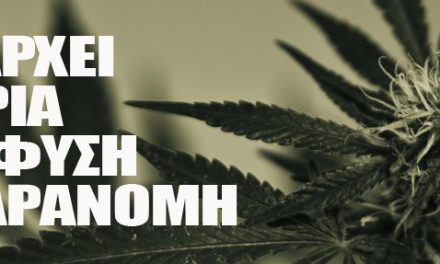 Καταρρίπτοντας 5 μύθους για την Κάνναβη