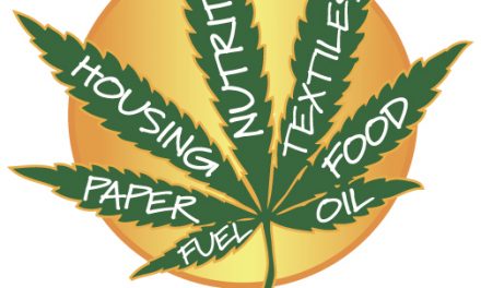 Επιστολή στον Πρωθυπουργό για συλλήψεις που αφορούν διατροφικά προϊόντα κλωστικής κάνναβης