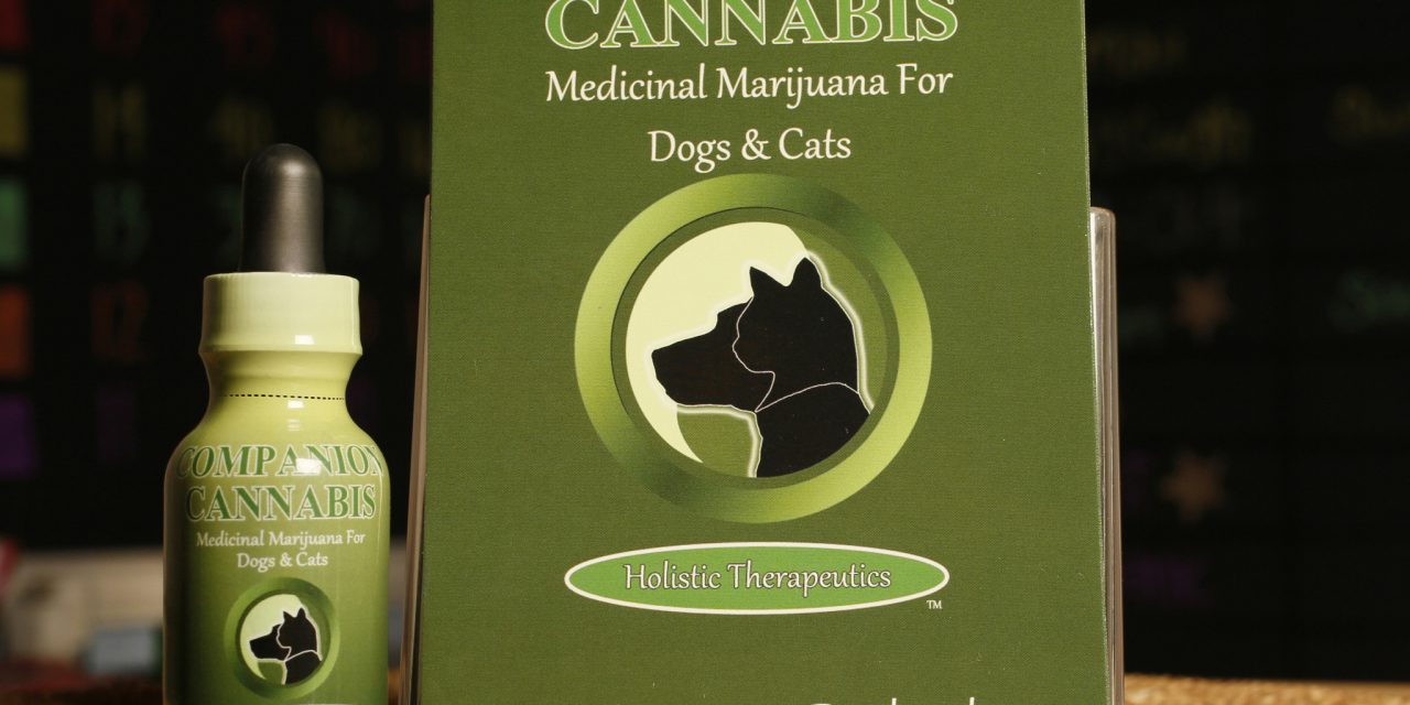 Υπόμνημα Κτηνιατρικό σύλλογο για την ιατρική χρήση της Κάνναβης από ζώα συντροφιάς