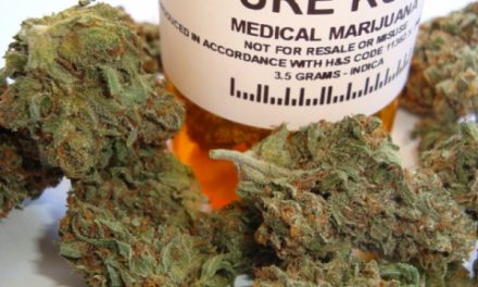 Επιστολή οργανώσεων στον Υπ. Υγείας για την ιατρική χρήση της Κάνναβης